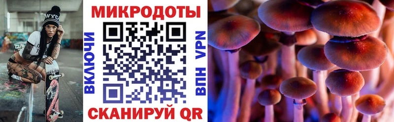 Псилоцибиновые грибы Psilocybine cubensis  Купить закладки  Гремячинск 